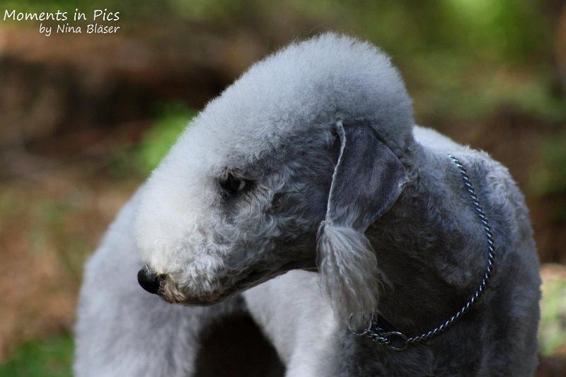 2010-05-29 Alanna und Svet (9).jpg - Arc-en-ciel Alanna 2010-05-29